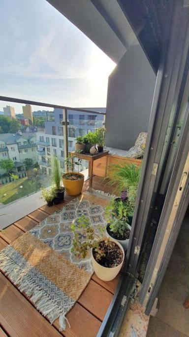 Apartment In City Center แชมิตช์ ภายนอก รูปภาพ